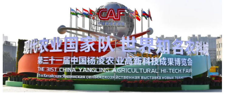 土壤中的碳中和,？碳研院攜新項(xiàng)目奔赴“農(nóng)科盛宴”,！