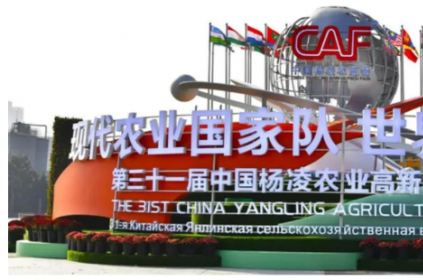 土壤中的碳中和？碳研院攜新項(xiàng)目奔赴“農(nóng)科盛宴”！